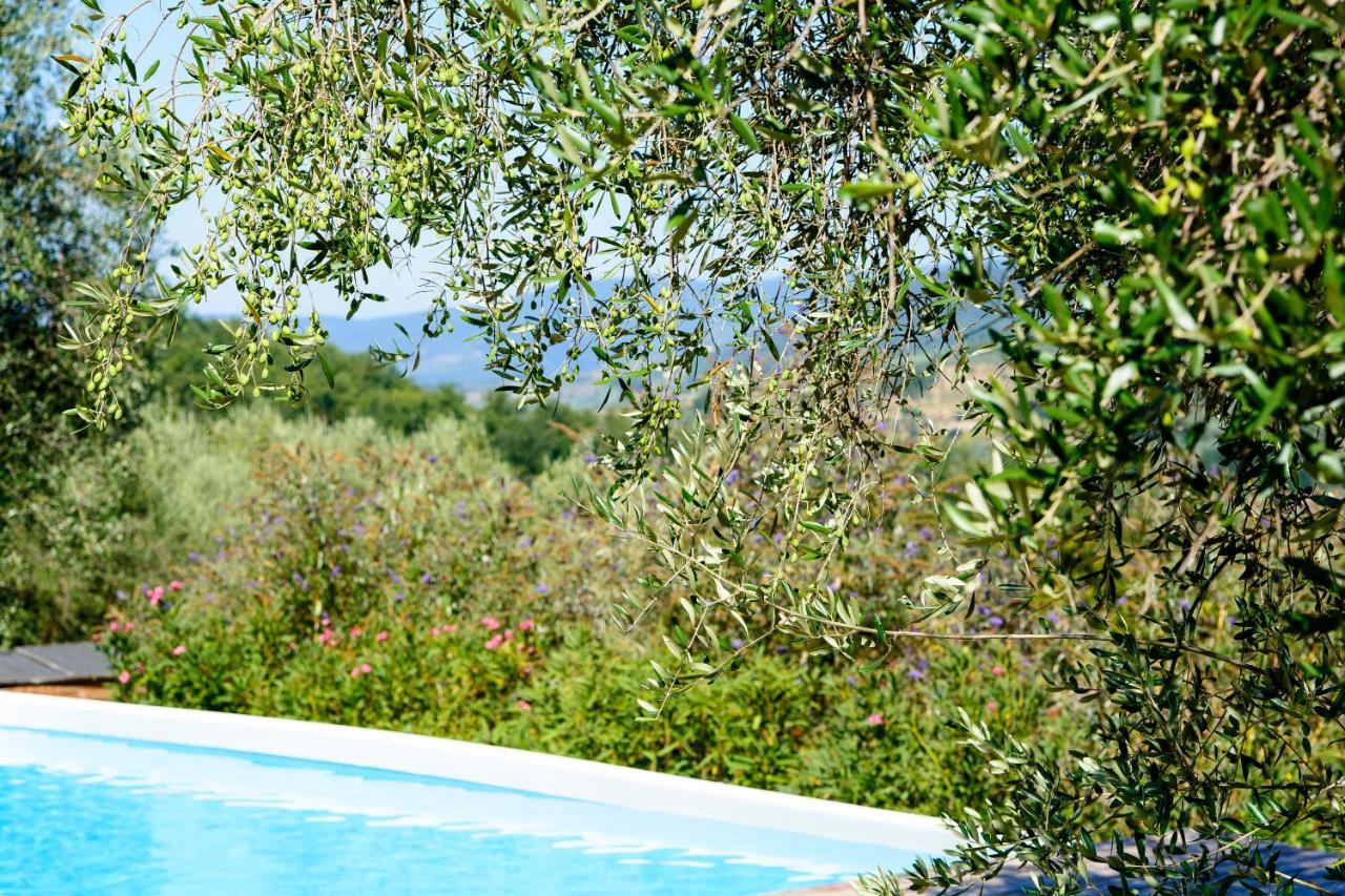 Agriturismo La Pieve Pelago Eksteriør billede