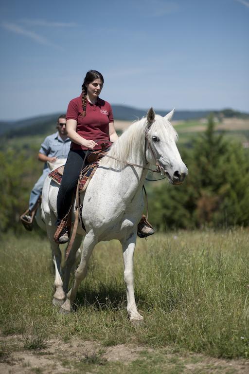 Agriturismo La Pieve Pelago Eksteriør billede