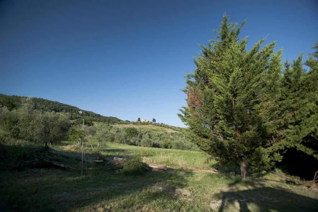 Agriturismo La Pieve Pelago Eksteriør billede
